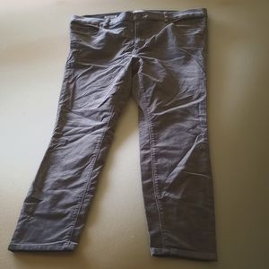 Loft gray corduroy pants